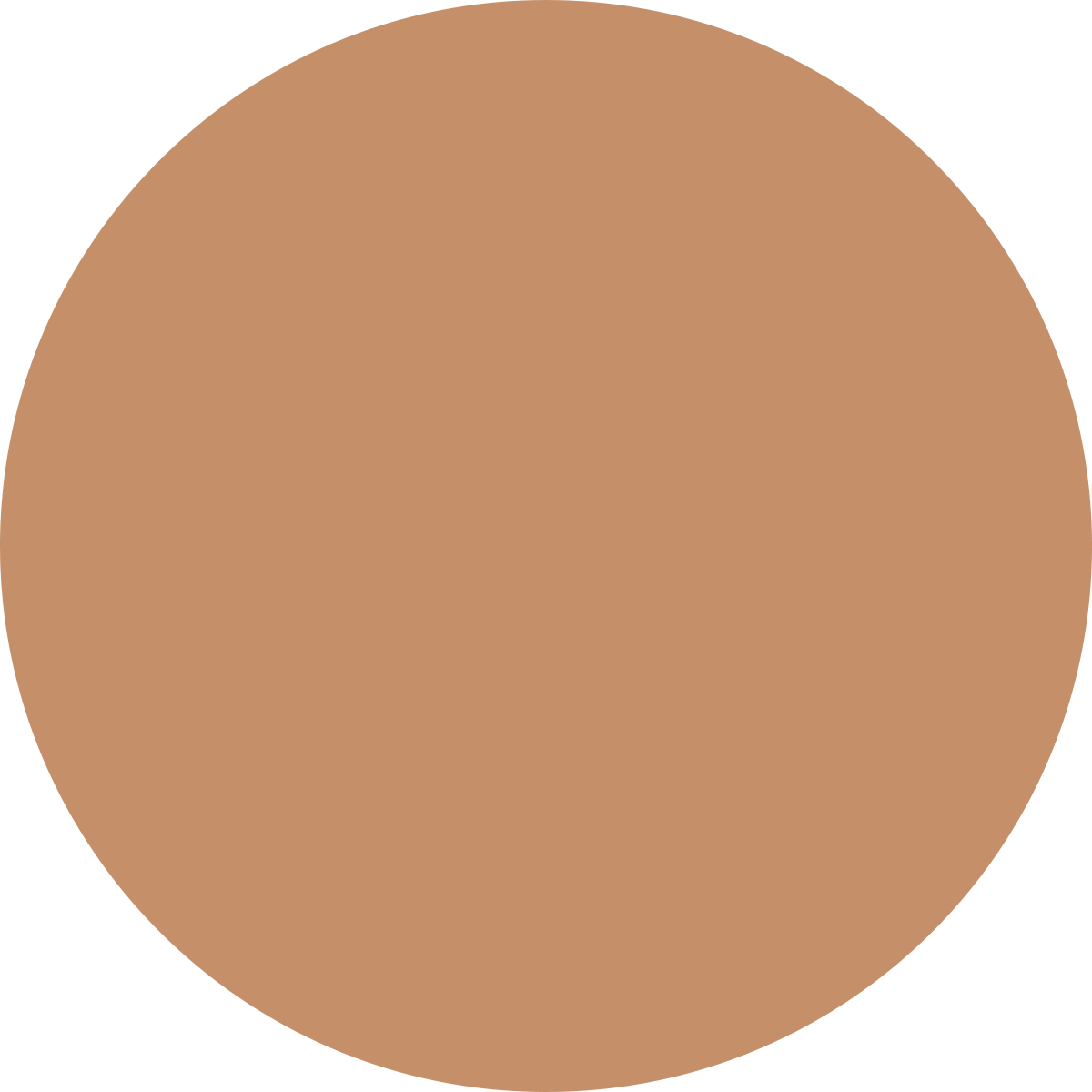 Korean Color Changing Foundation
