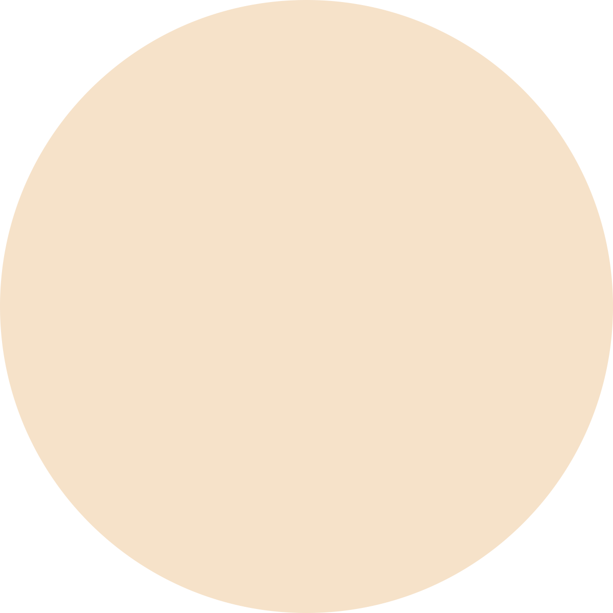 Korean Color Changing Foundation