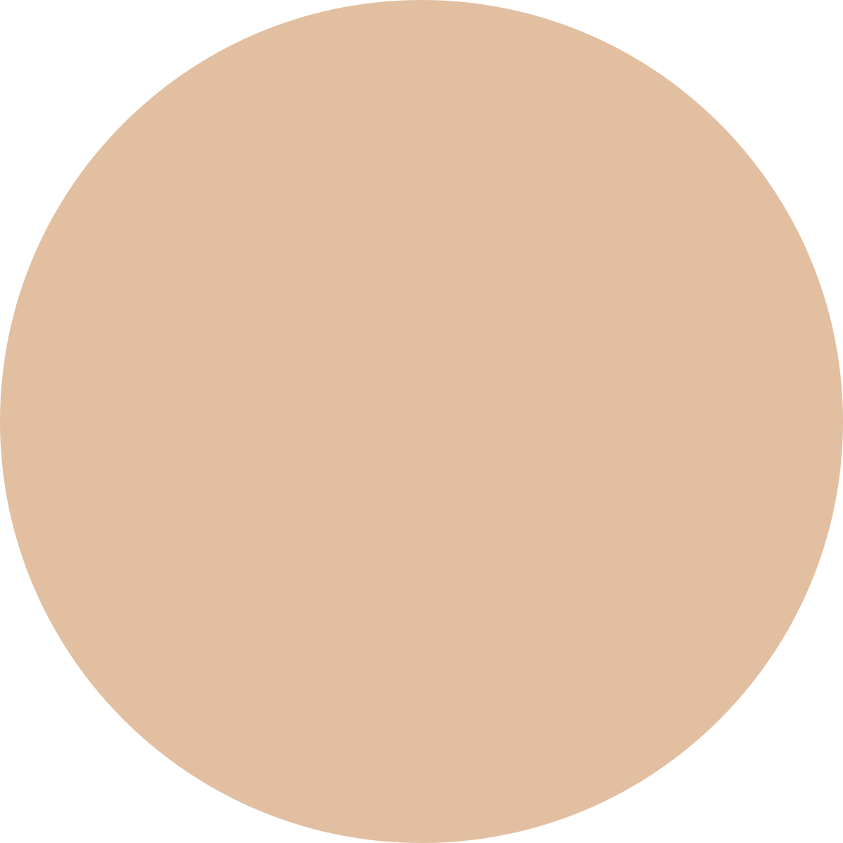 Korean Color Changing Foundation