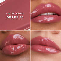03 FIG COMPOTE