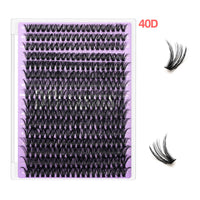 40D-Lash Kit